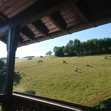 Πανσιόν Paula 3*