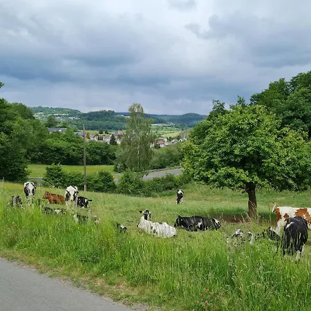 Affittacamere Paula 3*